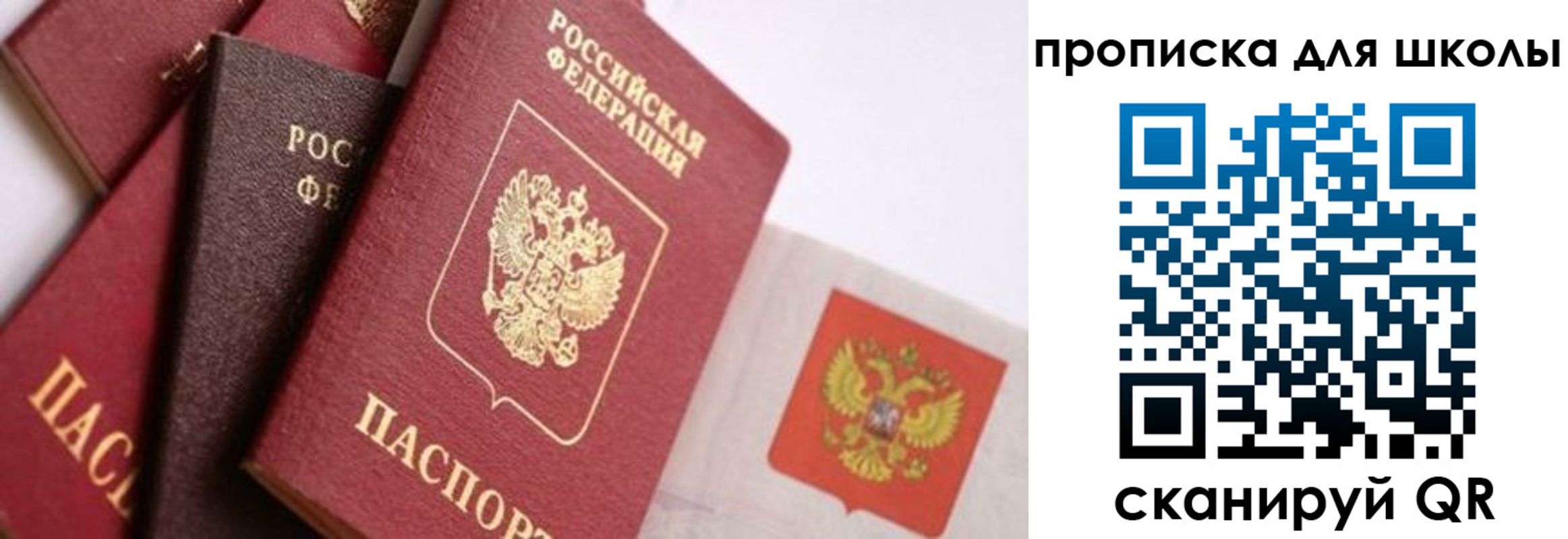 прописка поиск в Моздоке